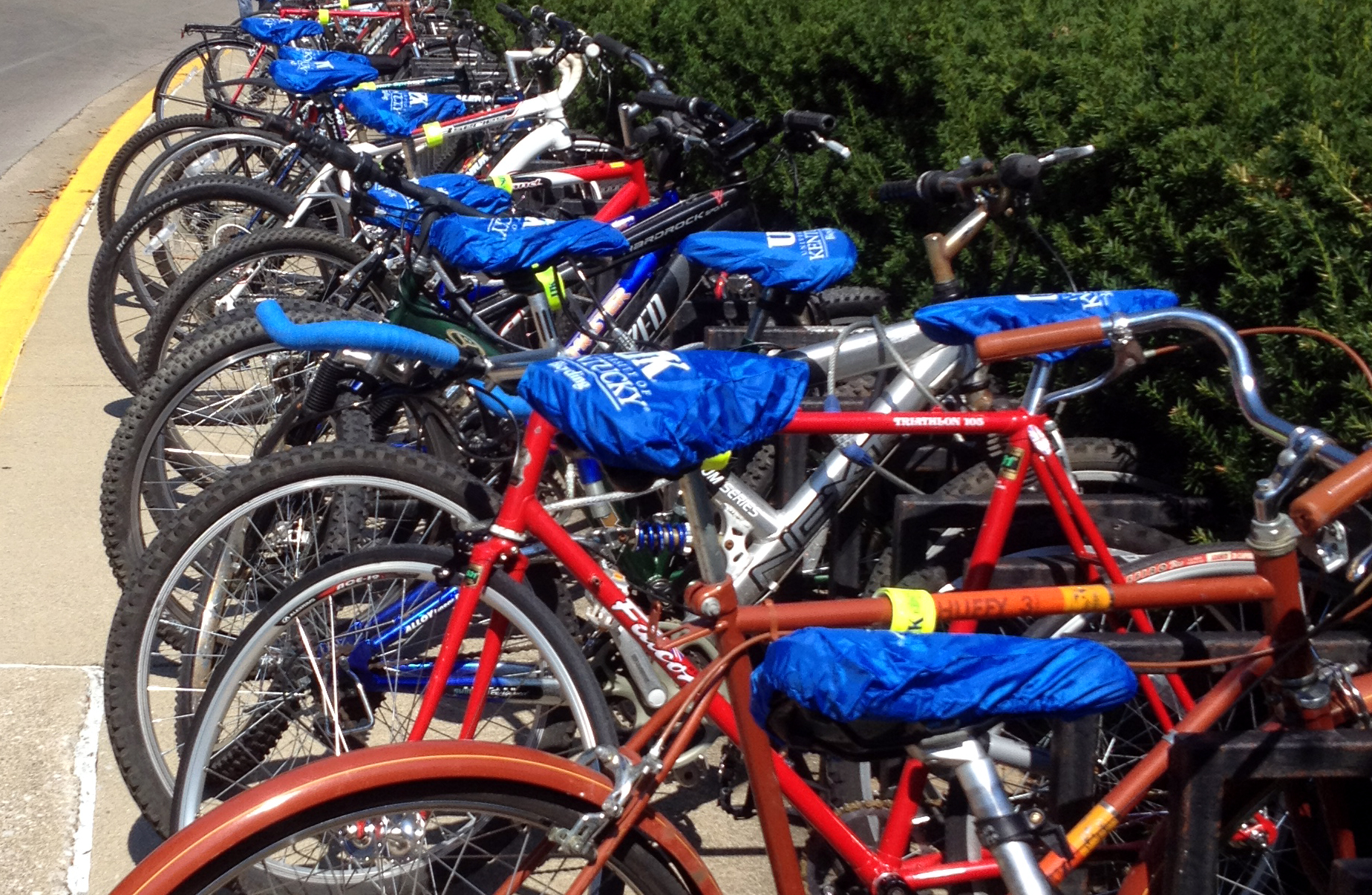 Bicycles on campus