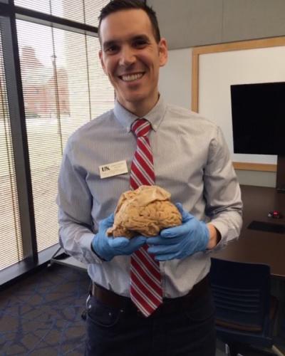 A man in business attire and blue gloves holds a brain model in front of a window and whiteboard.