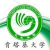 confucius institute