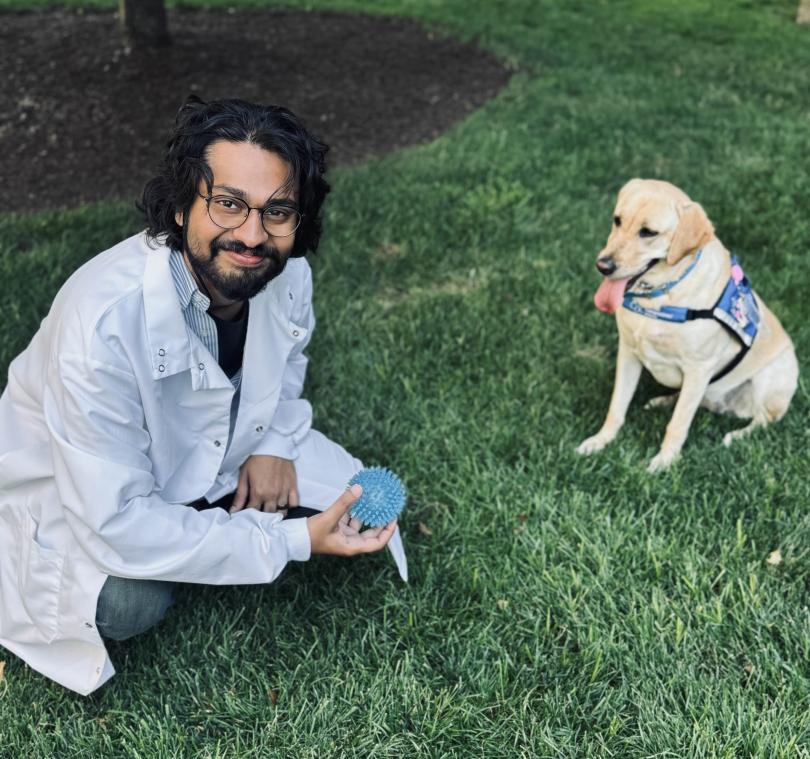 D'Souza Pup